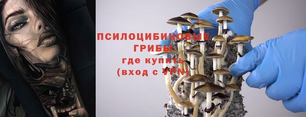 мескалин Арсеньев