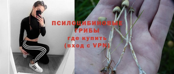 соль ск Алзамай