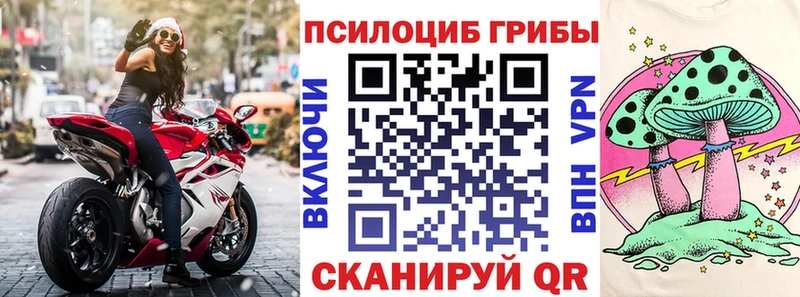 Галлюциногенные грибы прущие грибы мега онион Ртищево